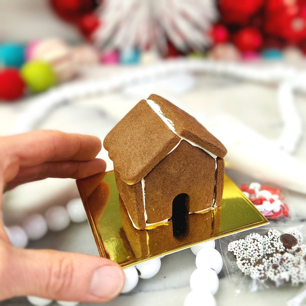 Teeny Tiny Gingerbread House